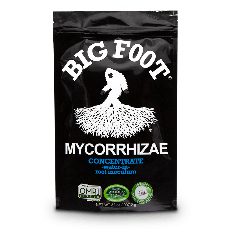 Big Foot Concentrate